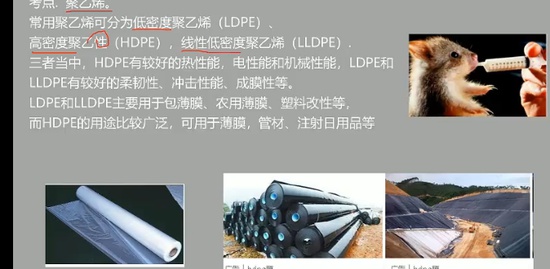 2024ʦ,,С,,Ѷ