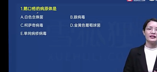 2024껤ʿʸ,ͨ,NN,,ѩ