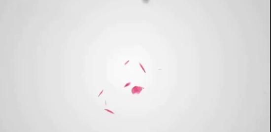 2018мʦ,ʵ,С,Ԥϰ,ɭ