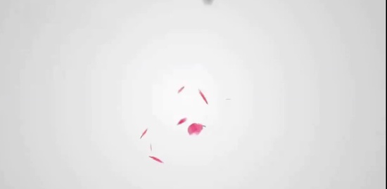 2018мʦ,ʵ,С,Ԥϰ,ɭ