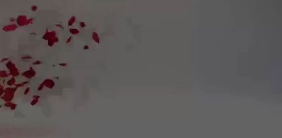 2019ѯʦ,ʵ,,,