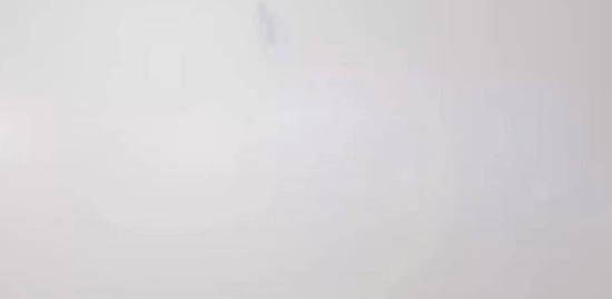 2019ʦ,ۺ,ɭ,,д