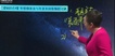 2019ע˰ʦ-ƻ--Ԥư-H12Ƶ+Ƶ+塿