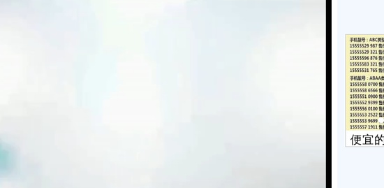 2019ȫʦ,,,,Ѷ