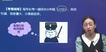 2020ע˰ʦ-˰--ǿ-A65Ƶ+塿
