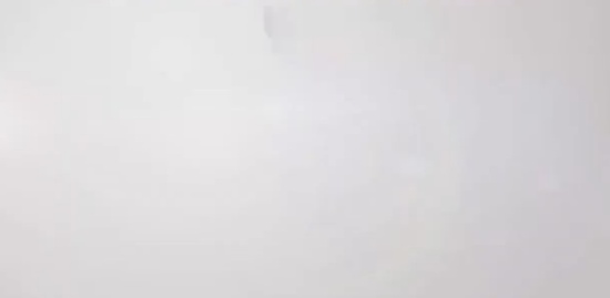 2019ʦ,ۺ,޼,,д