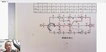 2021ʦ----ɭ156Ƶ+塿