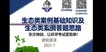 2021ʦ--ʦ--񽣣32Ƶ+塿
