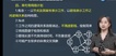 2023һʦ----11Ƶ+塿