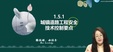 2024һʦ----114Ƶ+塿
